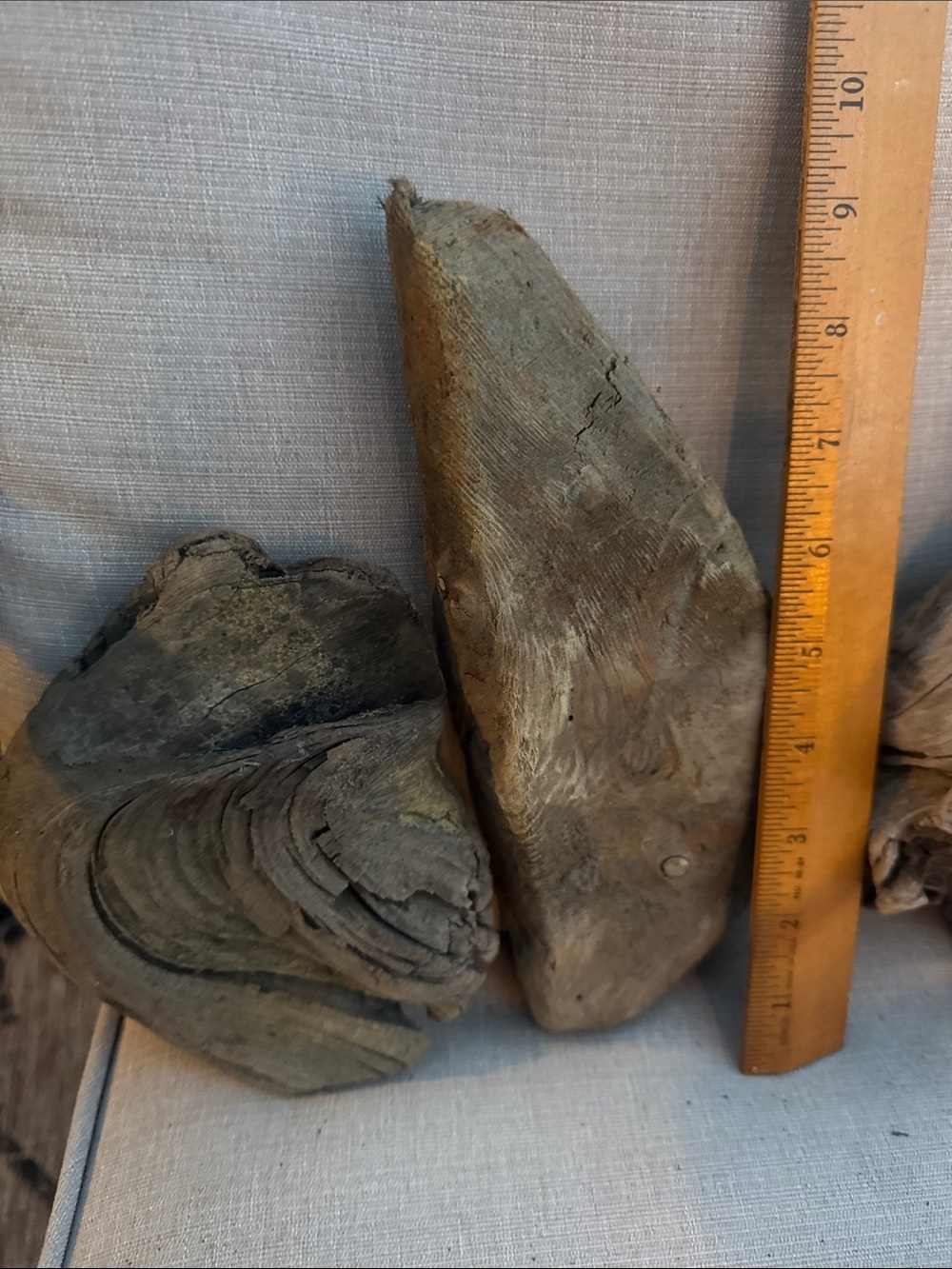 Natural Pacific Northwest Collected Beach Driftwood Decorative Accents 15 pcs - Picture 11 of 12